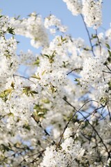 Processed with VSCO with a6 preset