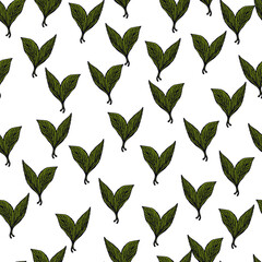 Seamless pattern engraved leaves. Vintage background of tea leaf in hand drawn style.