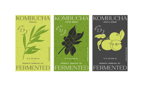 Vector set illustartion design labels for kombucha. Minimalistic and modern design.