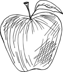 Apple Vintage fresh Fruit hand drawing sketch.
Retro digital artwork. Vegan Food illustration, black and white outline. 