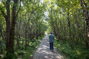 Happy woman walking on a path in the woods, Northern Norway,scandinavia,Europe