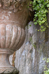 terracotta pot in the garden