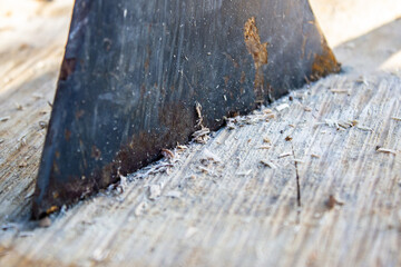 Fototapeta premium An old ax blade sticks out in a stump on the background of a blurry forest, close up macro