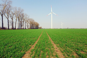 wind turbines in the field