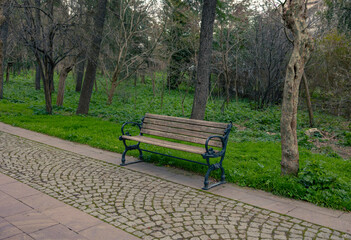 Empty  bench in green park.  No people in photo.