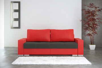 Sofa in interior