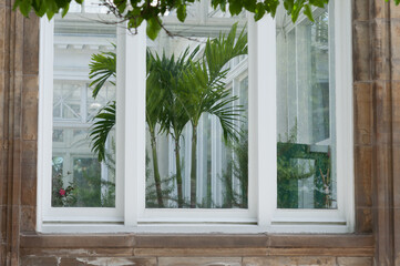 outside the conservatory (window with palm)