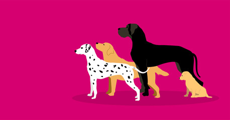 cani, animali, sagome, silhouette, 