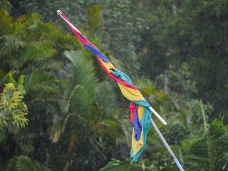 Mauritius flag entangled in gloomy weather