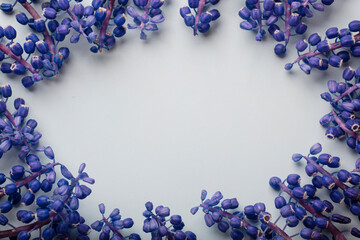 blue flowers on a blue background beautiful composition