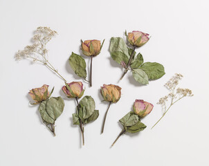 pressed roses