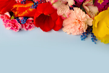 Bright flowers on a blue background top view