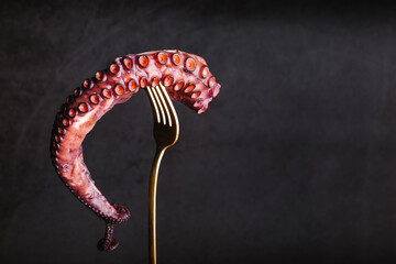 Raw octopus tentacle on fork