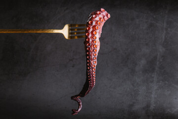Raw octopus tentacle on fork