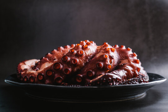 Delicious octopus served on plate