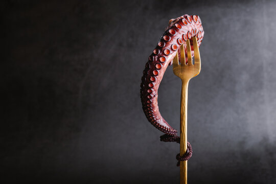Raw octopus tentacle on fork