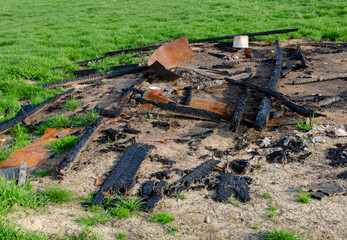 a pile of firewood in the field