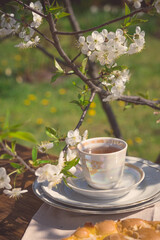 cup of tea and flowers