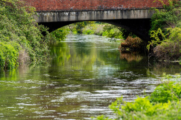 Fototapeta na wymiar River Stour near Canterbury in Kent, England