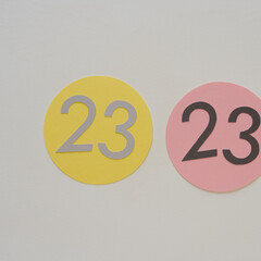 twice the number 23 on paper circles