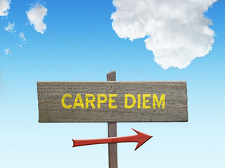 Carpe Diem seize the day quote on sign.