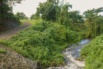 Scenic view of a river in forest in Mbeya, Tanzania