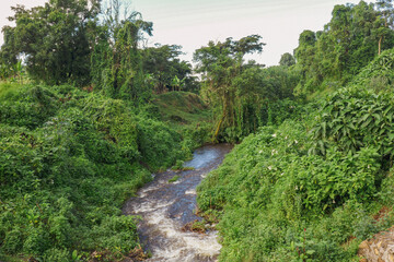 Fototapeta na wymiar Scenic view of a river in forest in Mbeya, Tanzania