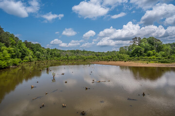 George Pierce park wetlands in Georgia
