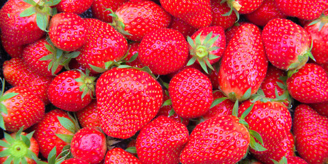 strawberries on the market