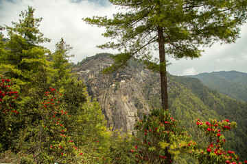 tiger nest, upper Paro valley in Bhutan 70