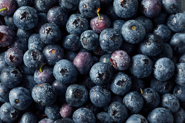 Raw Blue Organic Blueberries