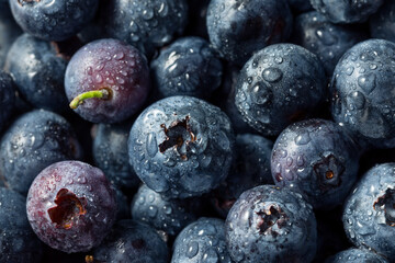 Raw Blue Organic Blueberries