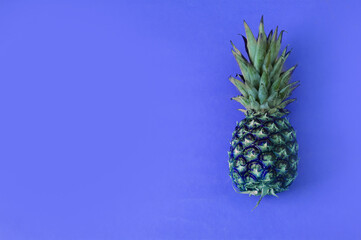 Ripe pineapple on a blue background with copy space