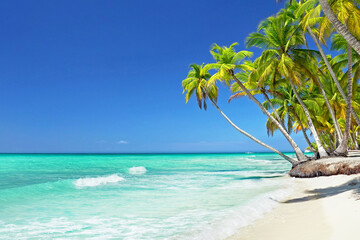 karibischer Strand 