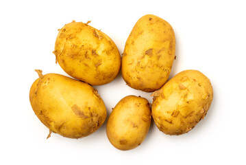 Heap of young potato isolated on white background with clipping path included. Organic potato right from the garden