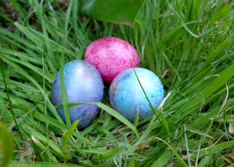 Mottled Easter Eggs in the Grass