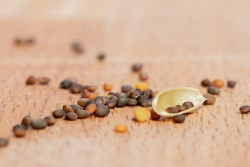 arugula seeds ready to sow
