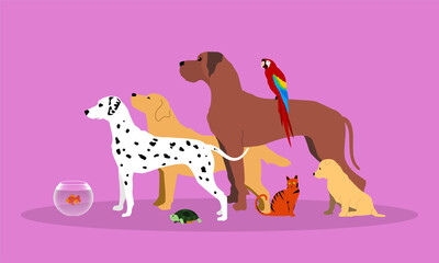 silhouette, sagome, animali, veterinario, clinica veterinaria