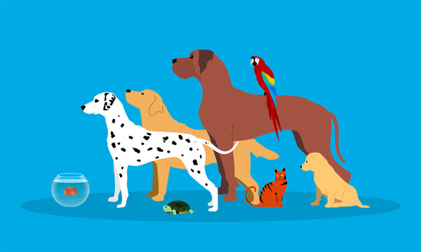 silhouette, sagome, animali, veterinario, clinica veterinaria