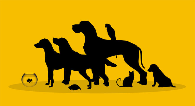 silhouette, sagome, animali, veterinario, clinica veterinaria