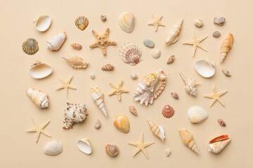 Summer time concept Flat lay composition with beautiful starfish and sea shells on colored table, top view