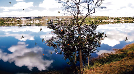 Pond tree flowers butterflies and birds