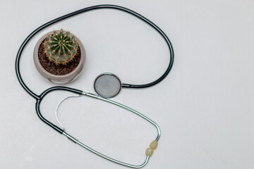 Stethoscope lies on white isolated background with cactus in the middle. Medical concept of hemorrhoids, anal pains