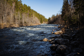 The mountain stream is rapids on the river, the mountain river flows among the rocks, the stones...