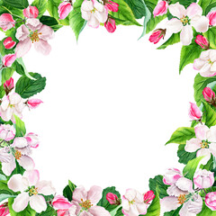 Apple tree blooming. Botanical floral frame. Watercolor illustration isolated on white