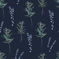 Herbs hand drawn background. Seamless pattern with rosemary and lavander on dark blue background. Colorful wallpaper vector. Decorative illustration, good for printing.