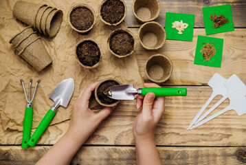 Top view of seeds and garden tools on a wooden background. Growing seedlings using peat cups. The...