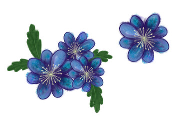 Fototapeta premium flowers drawing