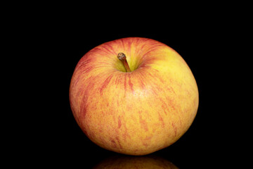 One juicy organic apple, close up, isolated on black background.