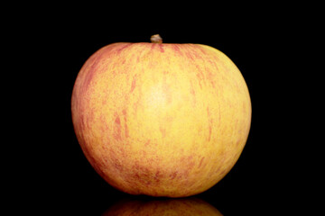 One juicy organic apple, close up, isolated on black background.